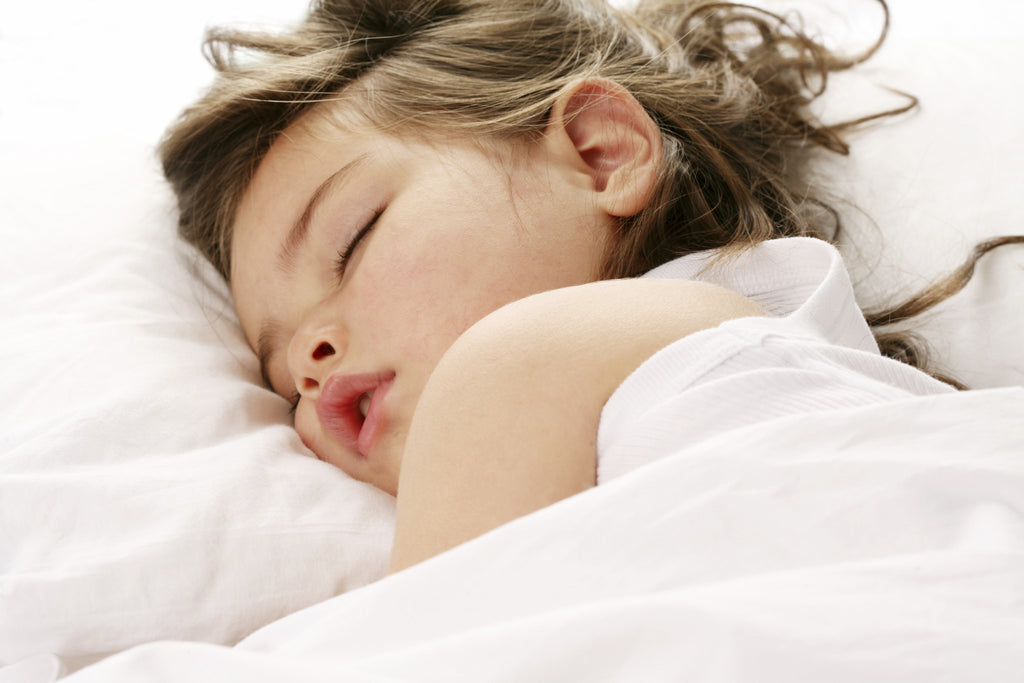 Washable Wool Duvet - Dreamdesigns.ca