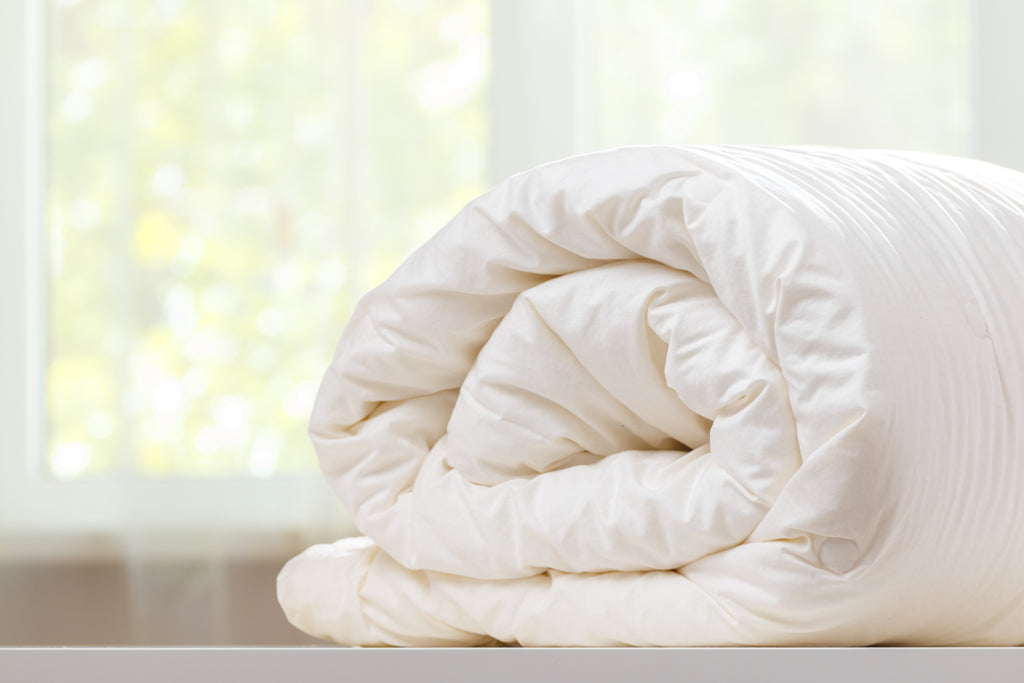 Organic Wool Duvet - Dreamdesigns.ca